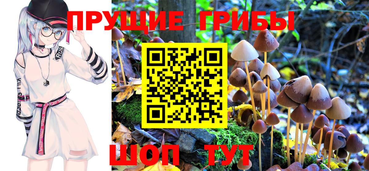 Псилоцибиновые грибы GOLDEN TEACHER  Вход с VPN  Псилоцибиновые грибы Cubensis  дарнет шоп  Москва 