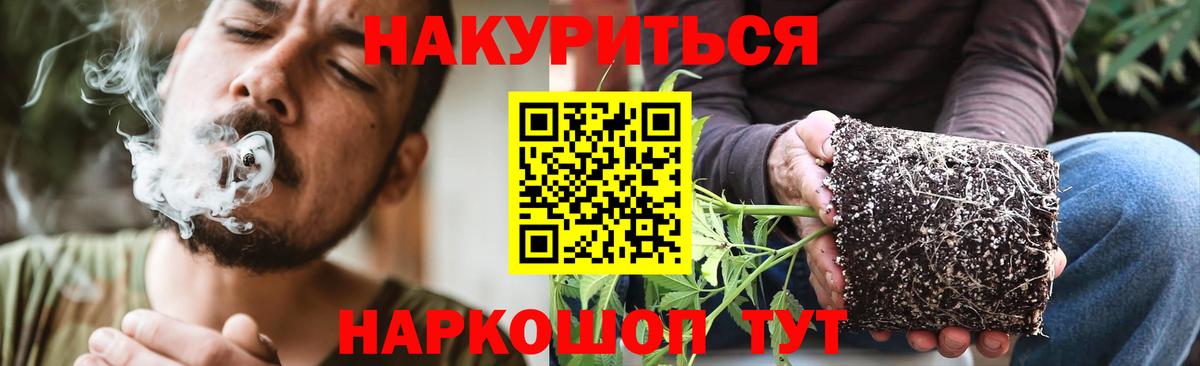 Каннабис ГИДРОПОН Москва